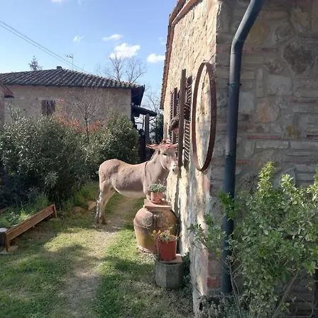 Vakantieboerderij Grecinella