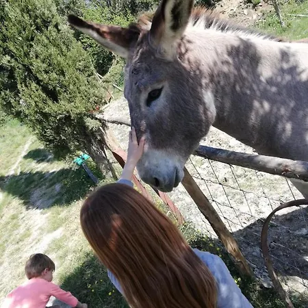 Vakantieboerderij Grecinella *