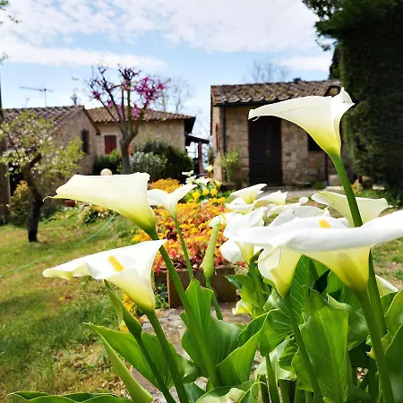 Farm stay Agriturismo Grecinella *